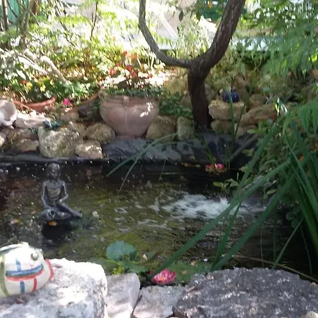 Le Mazet Du Thym Tatil Evi